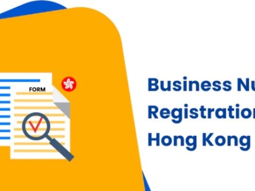Company Registration Number in Hong Kong